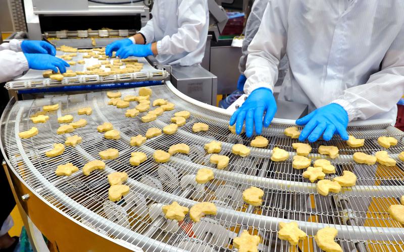 深入了解ERP系统定制:企业数字化转型的关键