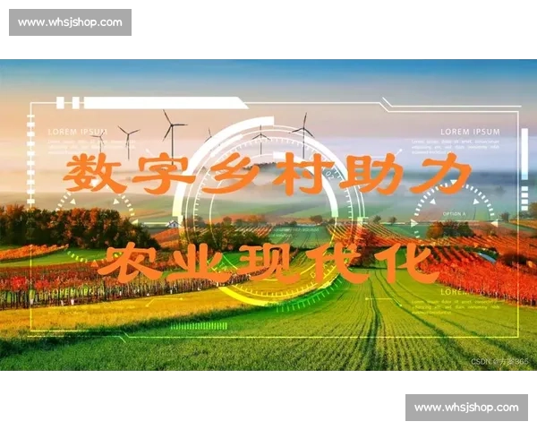 体育赛事公关策略研究与实践:提升品牌影响力和观众参与度的创新路径