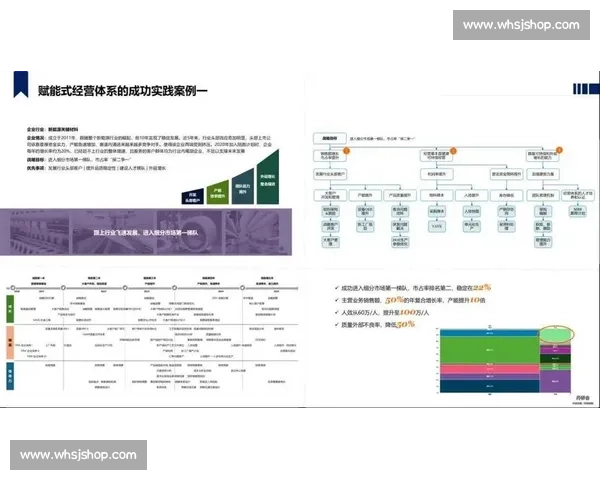 以组织变革为驱动力推动企业持续创新与管理模式优化研究